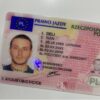 Polnischer Führerschein